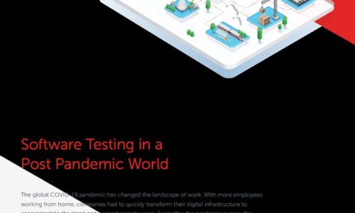 Software Testing in a Post Pandemic World